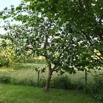 Sonnentraum Appartement Bannesdorf