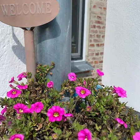 Sonnentraum Bannesdorf