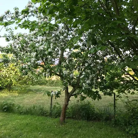 Sonnentraum Appartement Bannesdorf