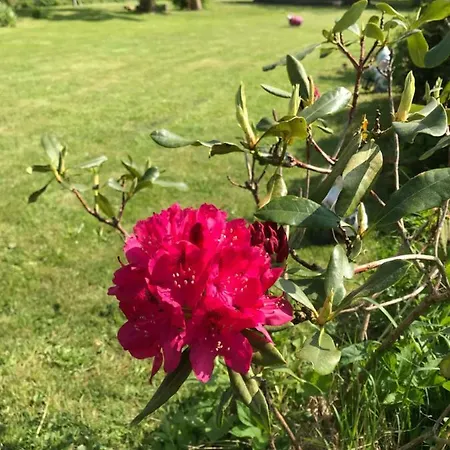 Sonnentraum Apartmán