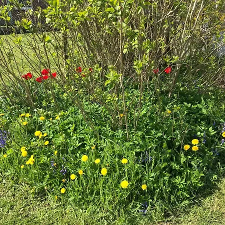 Apartmán Sonnentraum Bannesdorf