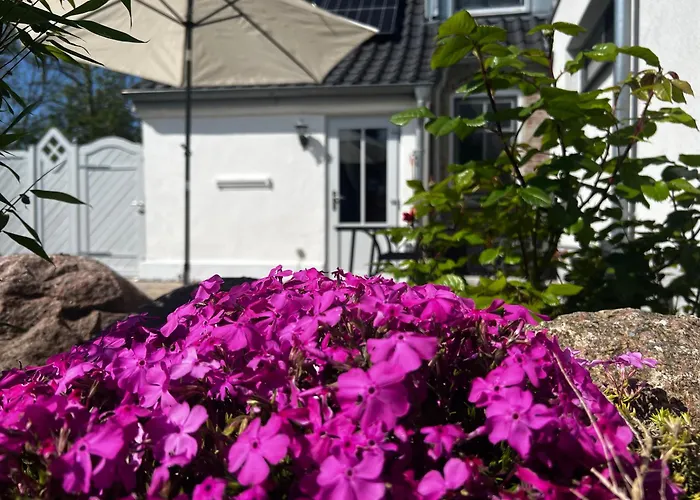 Sonnentraum Apartament